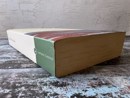 An image of a book by Günter Grass - The tin drum