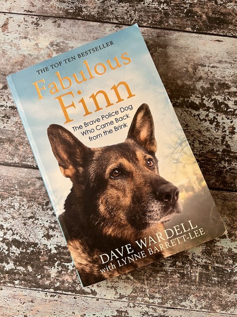 An image of a book by Dave Wardell - Fabulous Finn