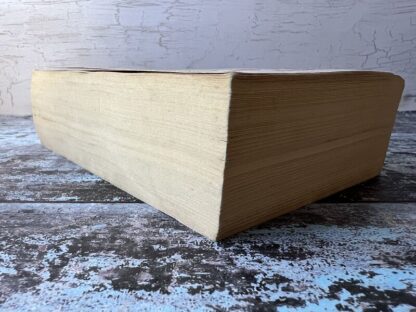 An image of a book by Penny Vincenzi - An Outrageous Affair