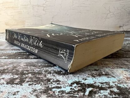 An image of a book by Paula Brackston - The Winter Witch
