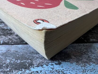 An image of a book by Marina Lewycka - Two Caravans