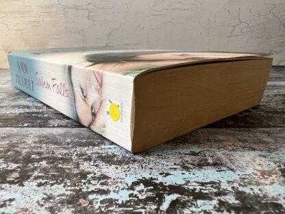 An image of a book by Jodi Picoult - Salem Falls