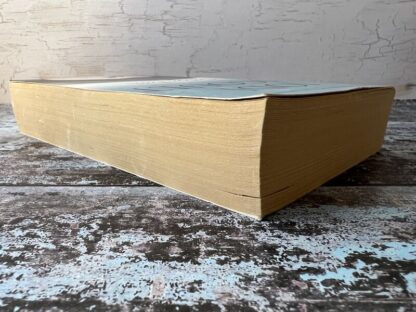 An image of a book by Jodi Picoult - Salem Falls