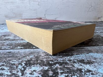 An image of a book by Valerie-Anne Baglietto - The Moon on a Stick