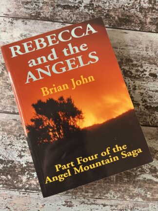 An image of a book by Brian John - Rebecca and the Angels