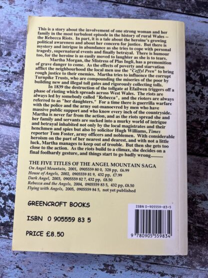An image of a book by Brian John - Rebecca and the Angels