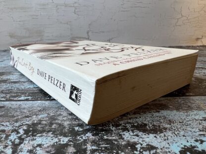 An image of a book by Dave Pelzer - The Lost Boy