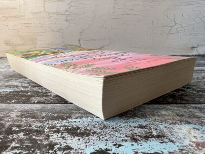 An image of a book by Rachel Lucas - The Village Green Bookshop