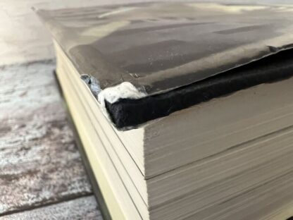 An image of the book by Ian Kershaw - Hitler 1936-1945 Nemesis