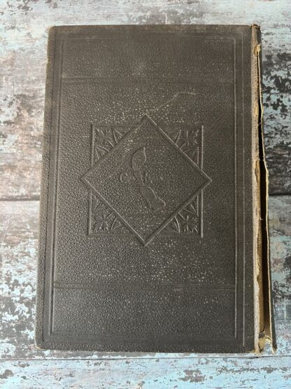No more lawyers' Bills 1882 (CC0007)