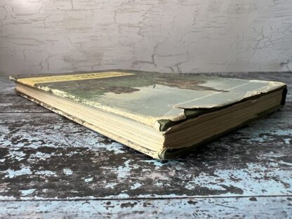 A image of the book Return to the Wild by Norman Carr