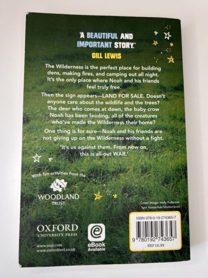 An image of the book The Wilderness War by Julia Green