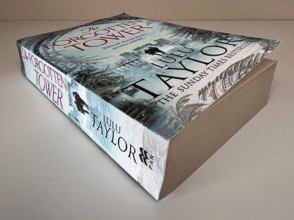 An image of the book The Forgotten Tower by Lulu Taylor