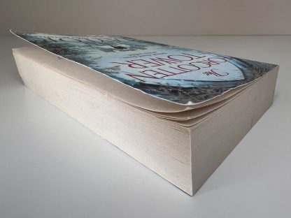 An image of the book The Forgotten Tower by Lulu Taylor