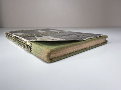 An image of the books The Umpire's Decision by Frank S Lee