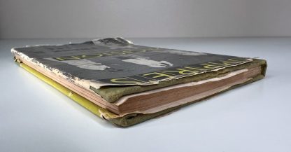 An image of the books The Umpire's Decision by Frank S Lee