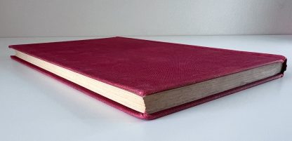 An image of the book Who's Who in World Cricket by Roy Webber