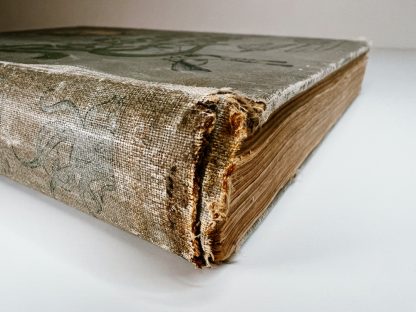An image of the book Robinson Crusoe by Daniel Defoe