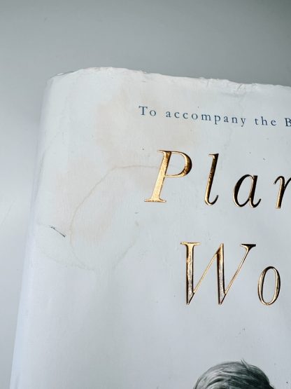 An image of the book Planet Word by J P Davidson