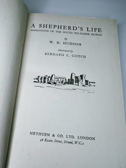 A Shepherd's Life - Image 4