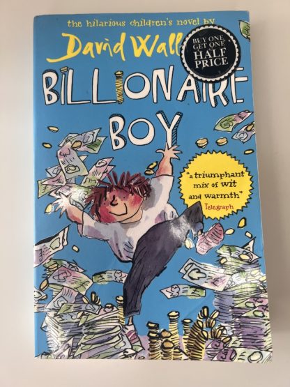 An image of the book Billionaire Boy by David Walliams