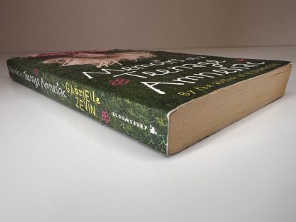 An image of the book Memoirs of a Teenage Amnesiac by Gabrielle Zevin