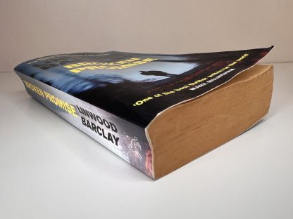 An image of the book Broken Promise by Linwood Barclay