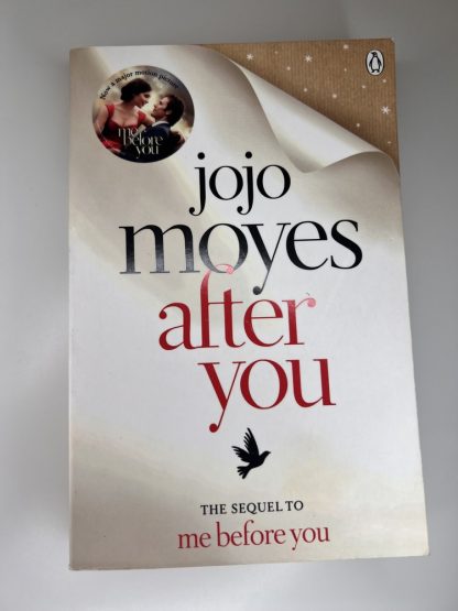 An image of the book After You by Jojo Moyes