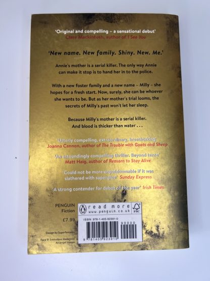 An image of the book Good Me Bad Me by Ali Land