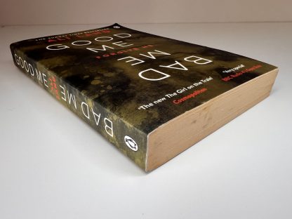 An image of the book Good Me Bad Me by Ali Land