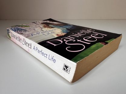 An image of the book A Perfect Life by Danielle Steel