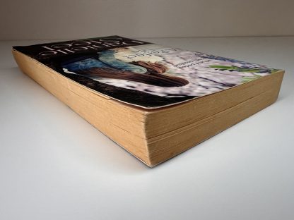 An image of the book A Perfect Life by Danielle Steel