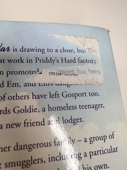 An image of the book The Gunpowder and Glory Girls by Rosie Archer