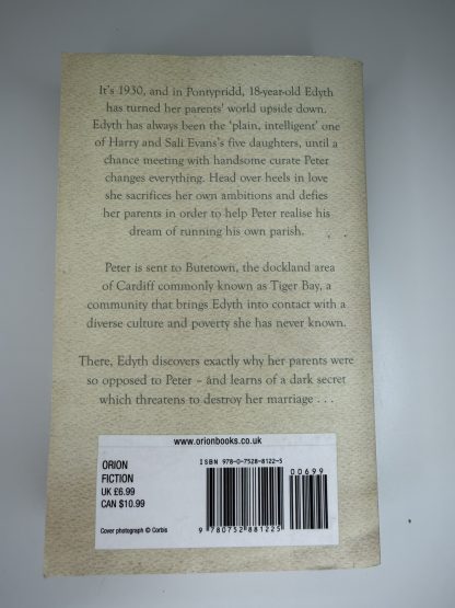 An image of the book Tiger Bay blues by Catrin Collier