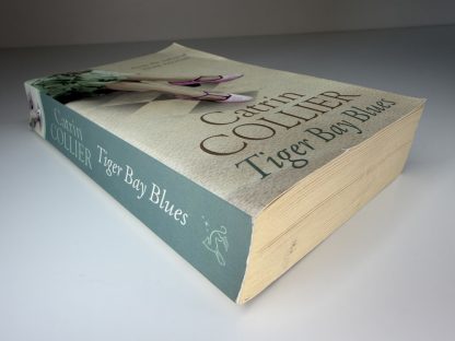 An image of the book Tiger Bay blues by Catrin Collier