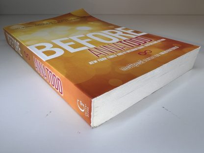 An image of the book Before by Anna Todd