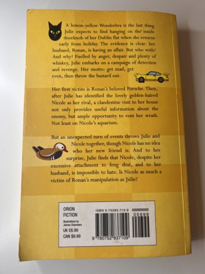 An image of the book The Feng-Shui Junkie by Brian Gallagher