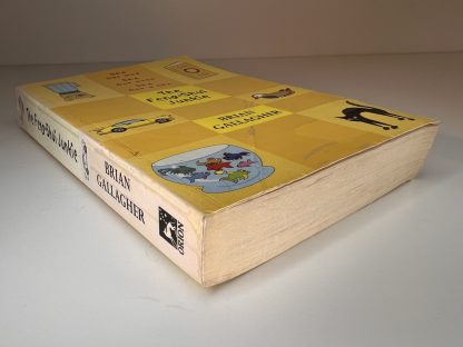 An image of the book The Feng-Shui Junkie by Brian Gallagher