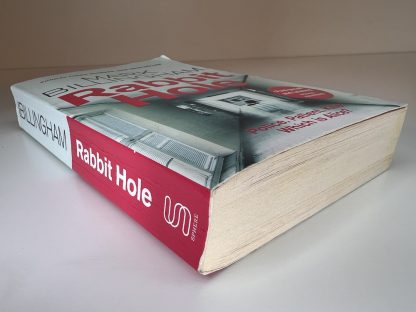 An image of the book Rabbit Hole by Mark Billingham