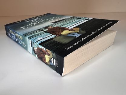 An image of the book The Lost Evacuee by Cathy Sharp