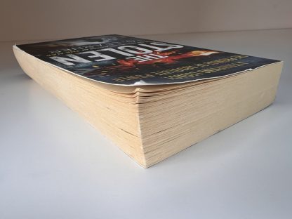An image of the book The Stolen by T S Learner