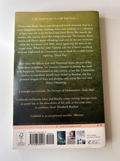 An image of the book The Purveyor of Enchantment by Marika Cobbold