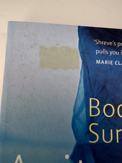 An image of the book Body Surfing by Anita Shreve