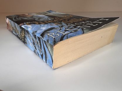 An image of the book Queen of Silks by Vanora Bennett