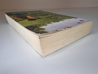 An image of the book Breaking the Silence by Diane Chamberlain