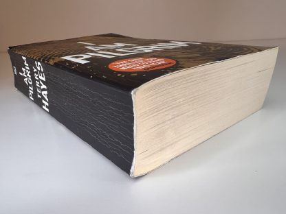 An image of the book I Am Pilgrim by Terry Hayes