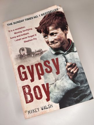 An image of the book Gypsy Boy by Mikey Walsh