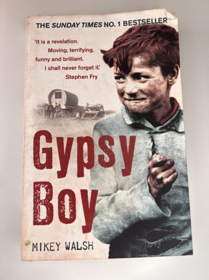 An image of the book Gypsy Boy by Mikey Walsh