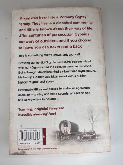 An image of the book Gypsy Boy by Mikey Walsh