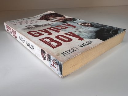 An image of the book Gypsy Boy by Mikey Walsh